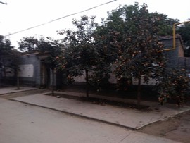 楹婪（张合）主播照片