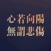 向阳xve海报