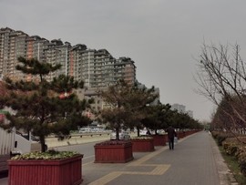 楚建国主播照片