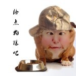 叁捌伍壹
