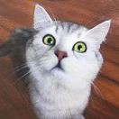 Roach.王🐱