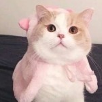 一一一_