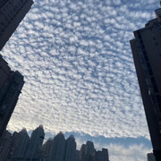 简简单单sg海报
