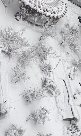 大雪ya主播照片