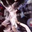 醒觉1