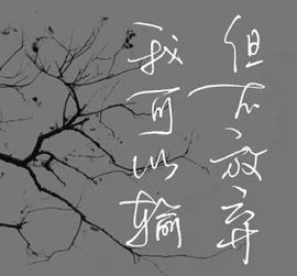 螞蟻上樹👉🍶🍸主播照片