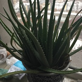 新人21😌主播照片