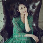 路过生命的过客海报