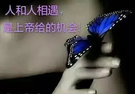 დ释怀დ主播照片