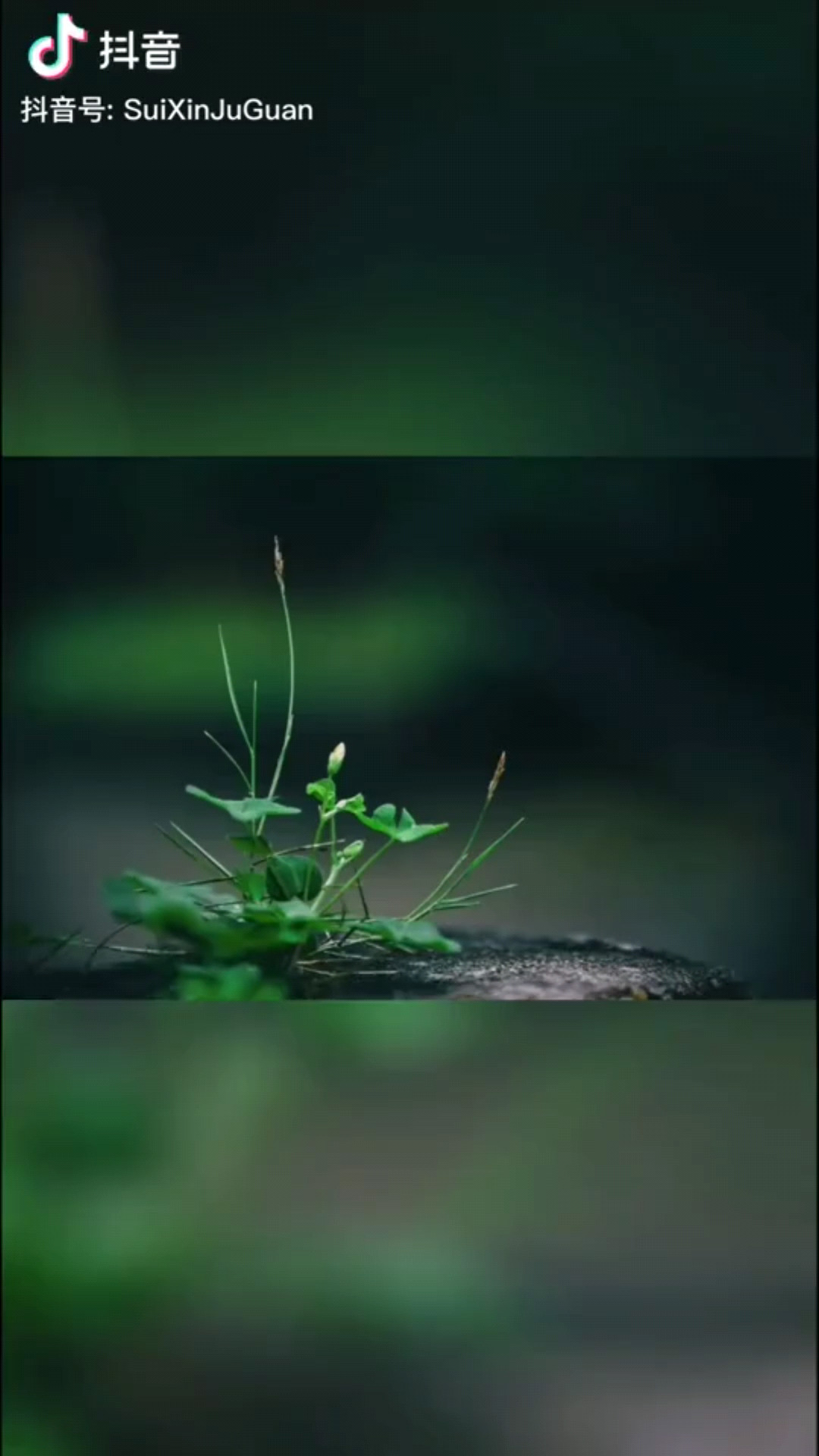 不负遇见，不谈亏欠
