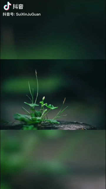 不負(fù)遇見，不談虧欠