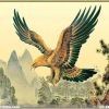 大鹏金翅鸟5