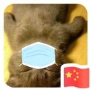 紫鱼🎿🏸