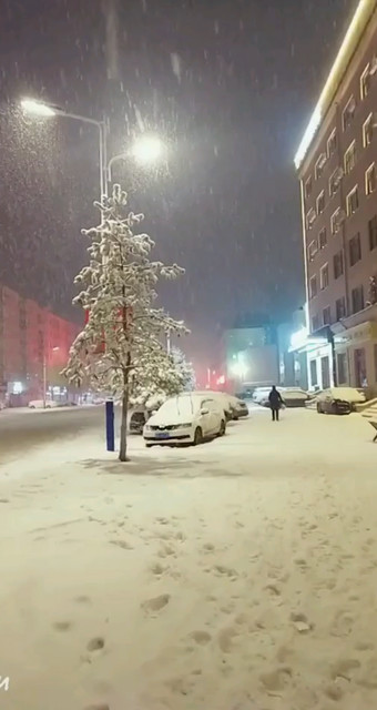 雪中的童话