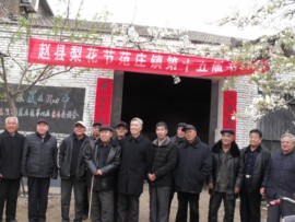 楹婪（张合）主播照片