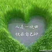 萌新大爷海报