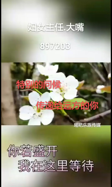 特别的问候传递着我对你的感谢