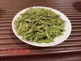 茶小拙主播照片