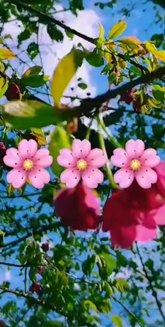 周末愉快