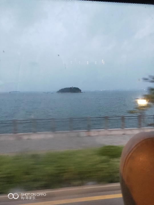 读了羊皮卷的人的图片