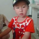 杨新贞