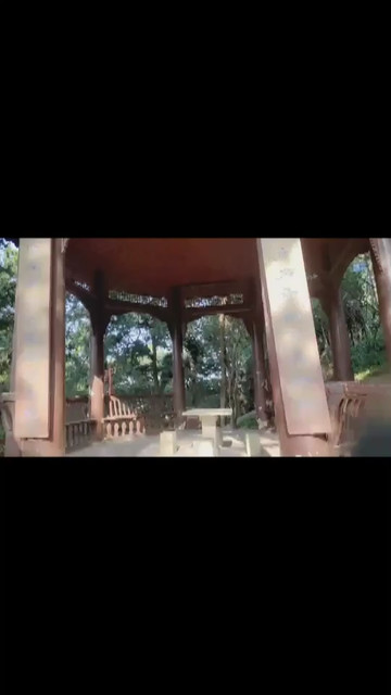 柏