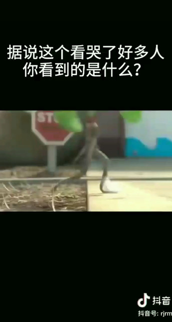 你能看到什么?《二》