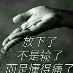 一生所爱，。海报