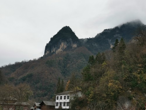 爱在有你的地方的主播照片