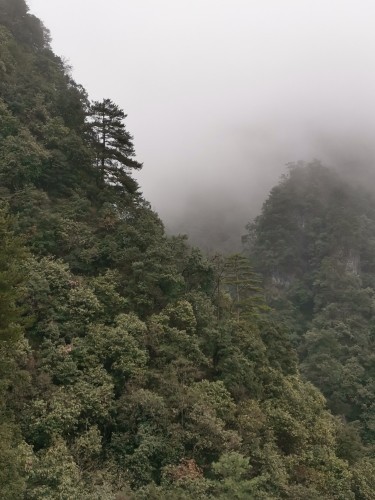 爱在有你的地方的主播照片