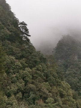 爱在有你的地方主播照片