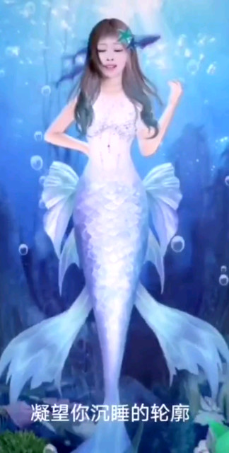 大鱼🐟