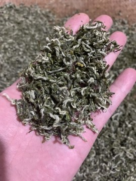 糖糖的甜甜主播照片