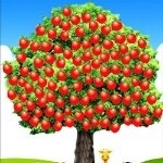 红苹果🍎太甜海报