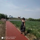 爱晒太阳的猫s