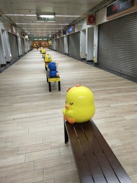 盼死恨透主播照片