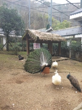 无聊人生qwe主播照片