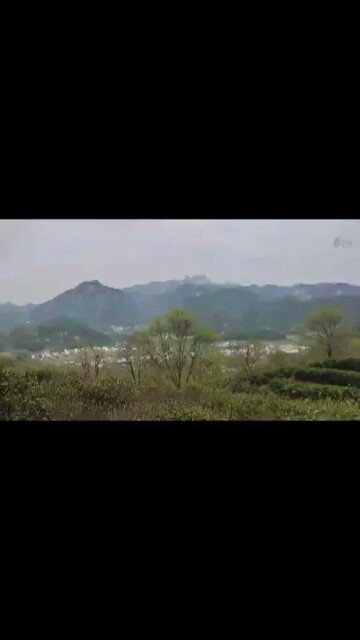 这