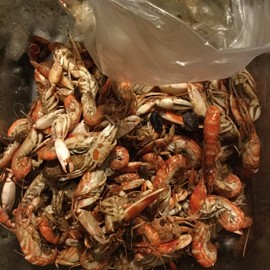新人21😌主播照片