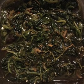 新人21😌主播照片