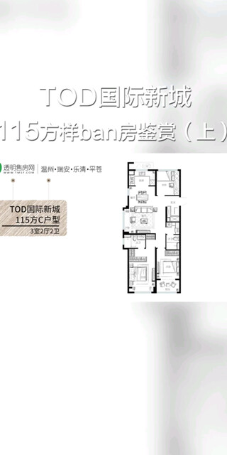 温州TOD国际新城115方样房