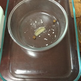 新人21😌主播照片