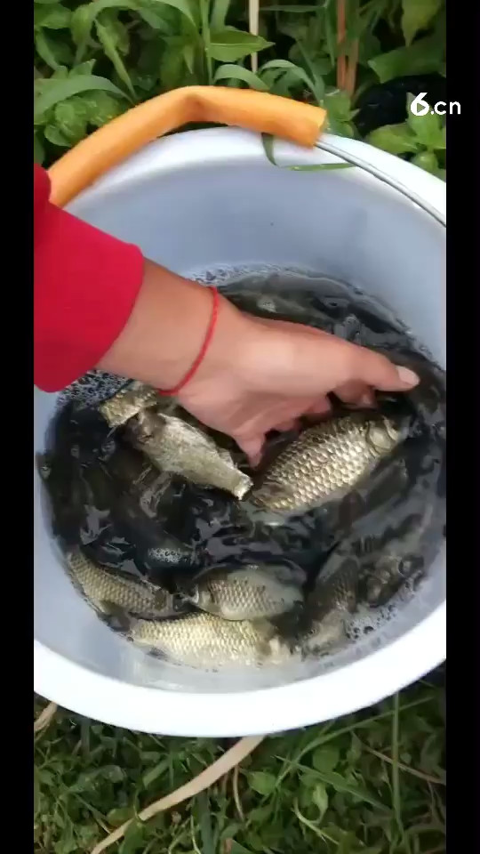 今天的收獲