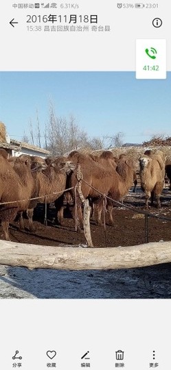 清辰一拉屎就饿主播照片