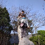 老金ihv