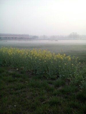 🇨🇳KM迈乐的主播照片