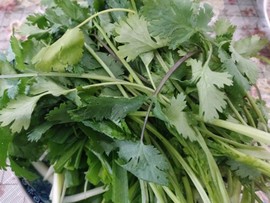 吃货🐽猪猪^O^主播照片