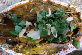 吃货🐽猪猪^O^主播照片