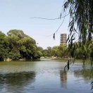 阿修罗8421