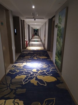 生命里的三个问题主播照片